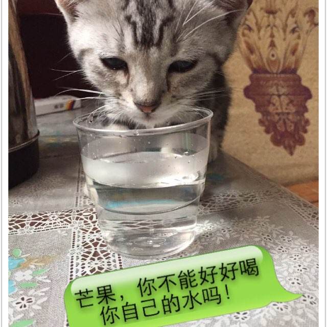 cad中级证书被取消